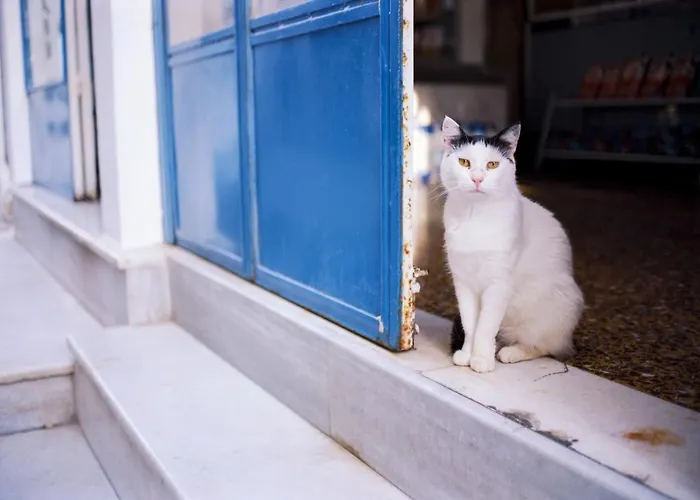 Beautiful Santorini 3 Bedrooms Phos Private Pool & Seaviews Vila *